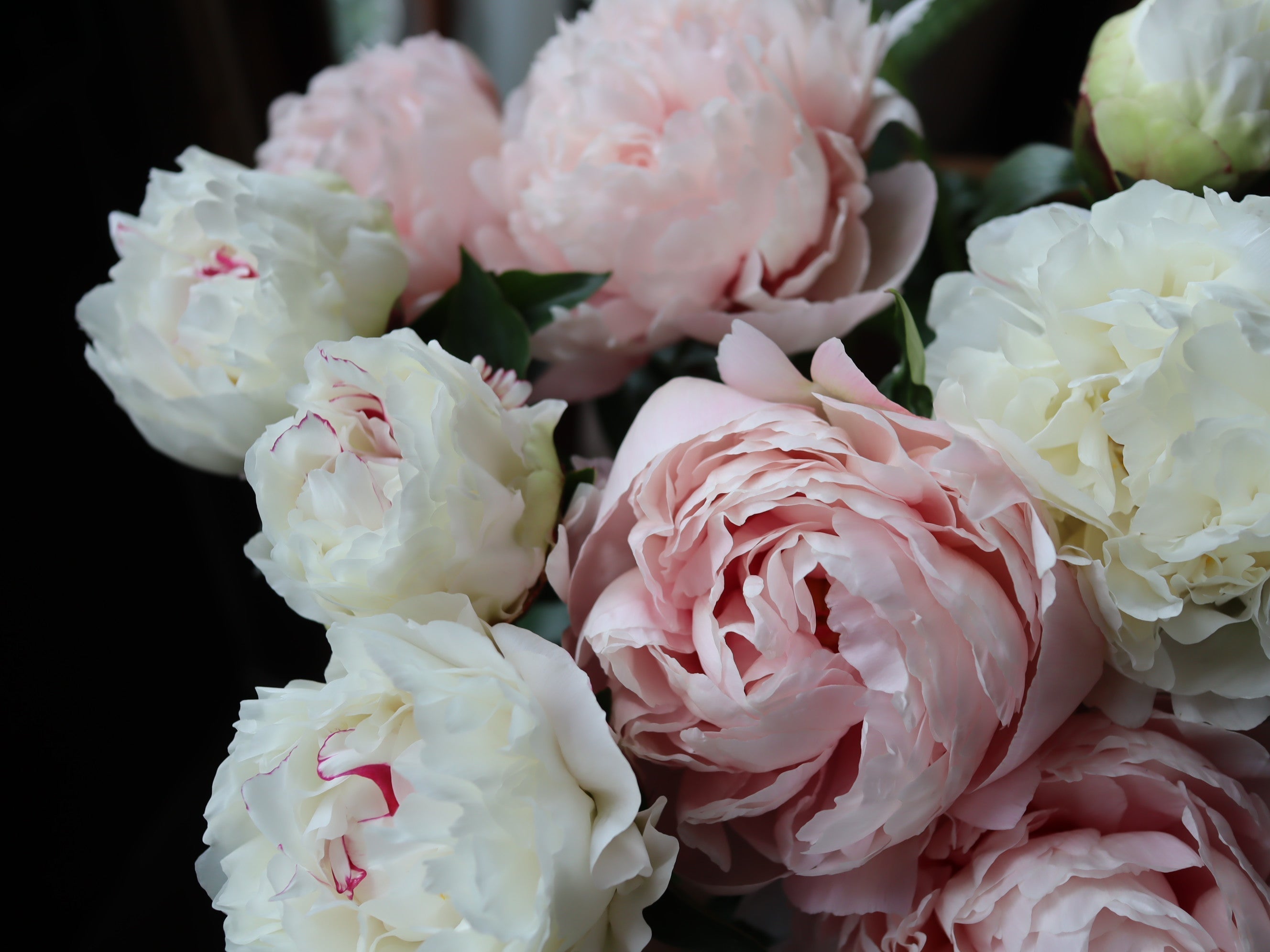 母の日までのshop営業とご予約について