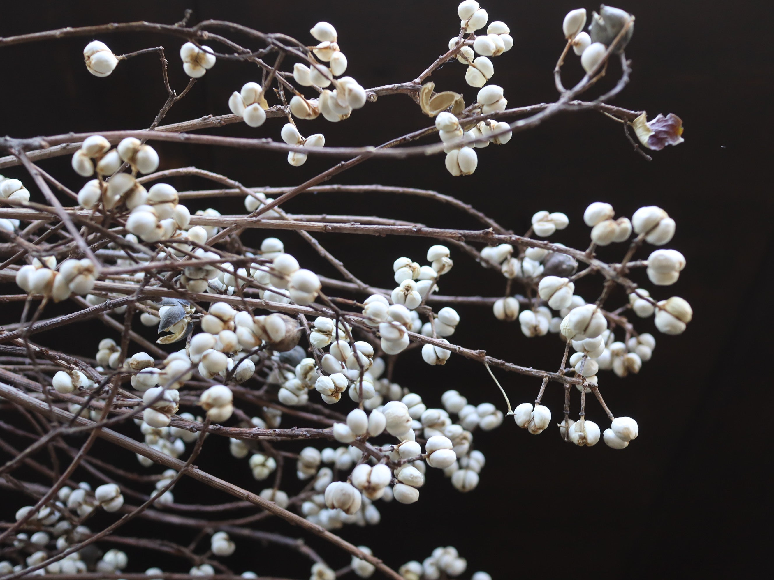 年末年始の営業について