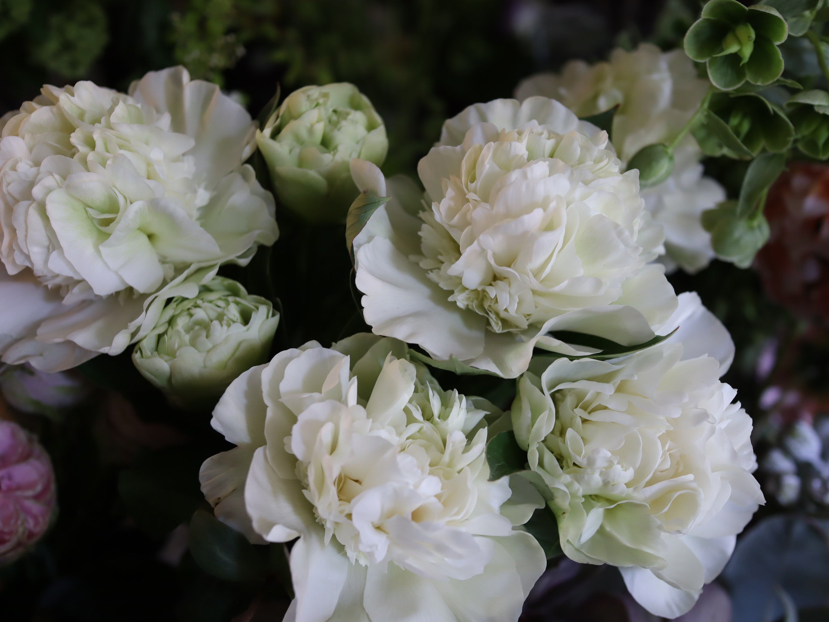 母の日までの営業とご予約について