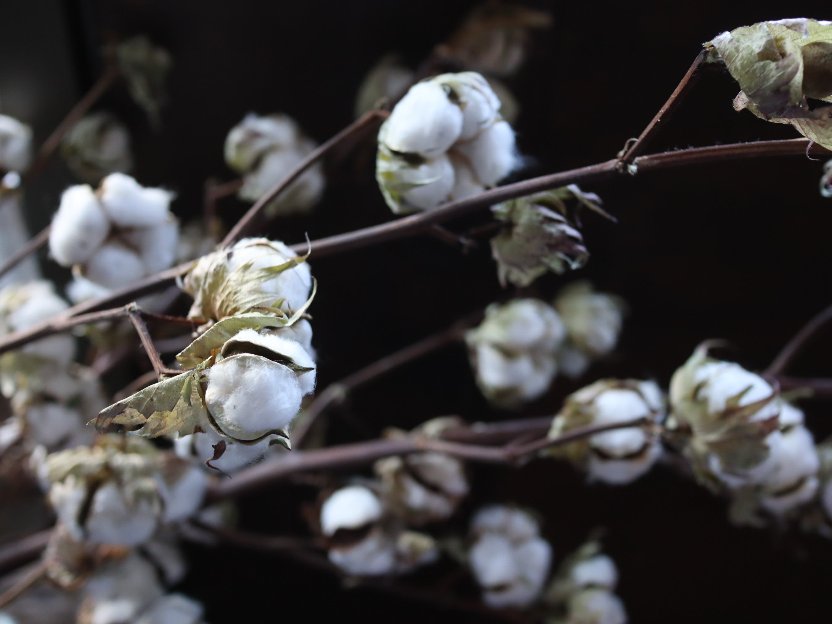 年末年始の配送のお知らせ