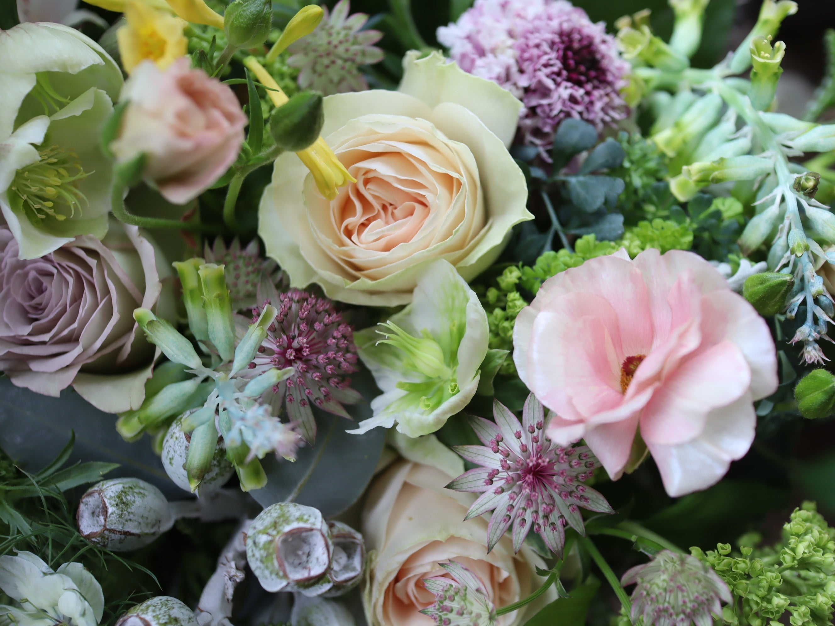 2025年母の日ギフト配送受付終了いたしました