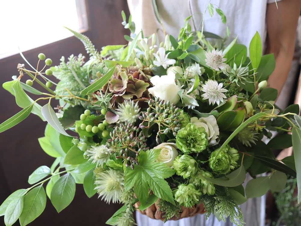 タウニーオリーブ