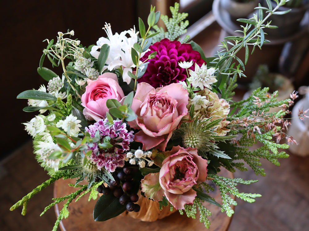 ラディーローズ